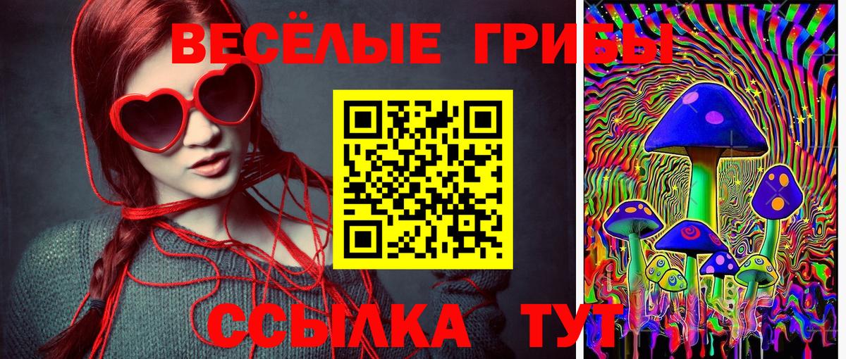 Галлюциногенные грибы мицелий Кашира